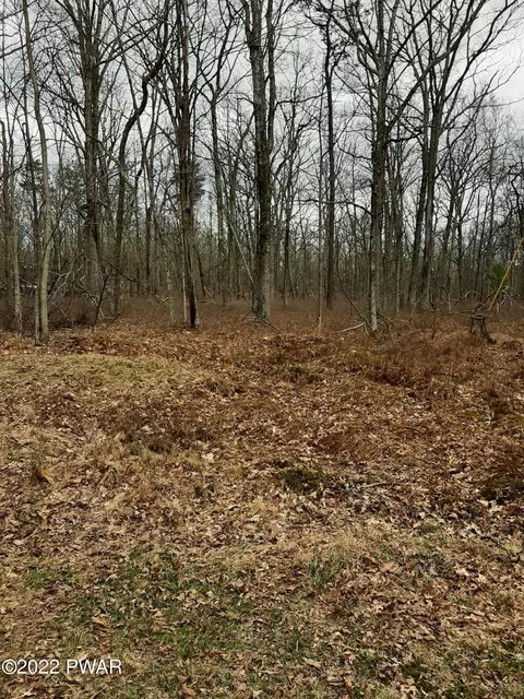 Mountain Top Road, Lackawaxen, PA 18435