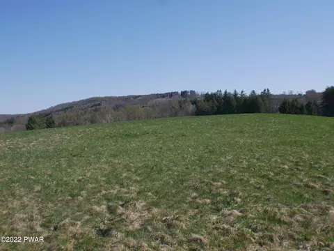 Bell Mountain Road, Clifford Township, PA 18407