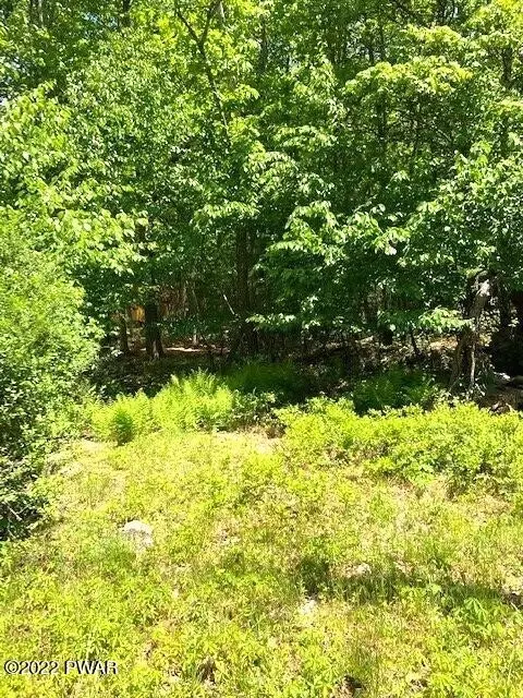 Water Forest/end Fern Dr. Drive, Milford, PA 18337