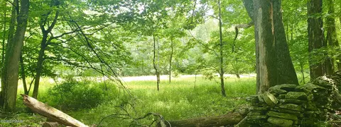 Berry Hill Road, Lakeville, PA 18438