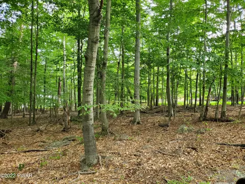 lot686 A Hickory Ln, Greentown, PA 18426