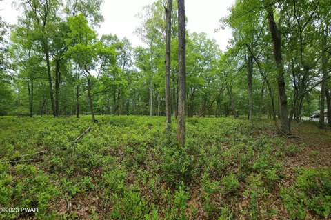 lot26 Pine Pl, Hawley, PA 18428