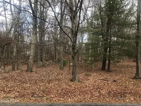 513 Maple Ridge Dr, Lords Valley, PA 18428