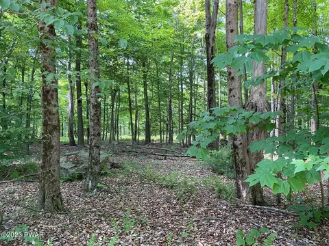 Timbertop Acres, Newfoundland, PA 18445