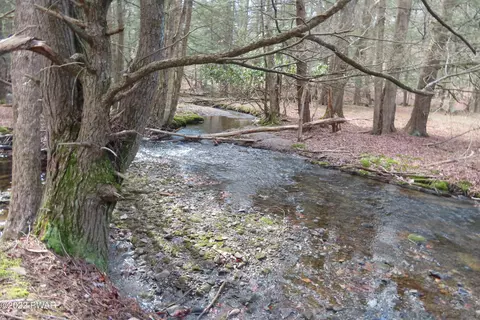 lot201 Sawmill Rd, Greentown, PA 18426