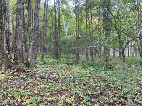 Belmont Turnpike, Waymart, PA 18472
