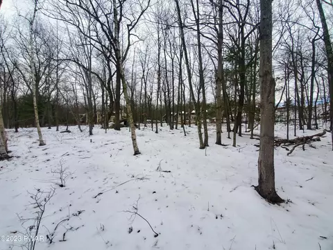 117 Roan Dr, Tafton, PA 18464