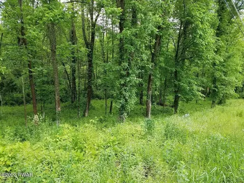 lot A - Owego Tpke, Honesdale, PA 18431