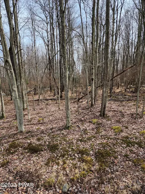 Snowshoe Circle, Lake Ariel, PA 18436