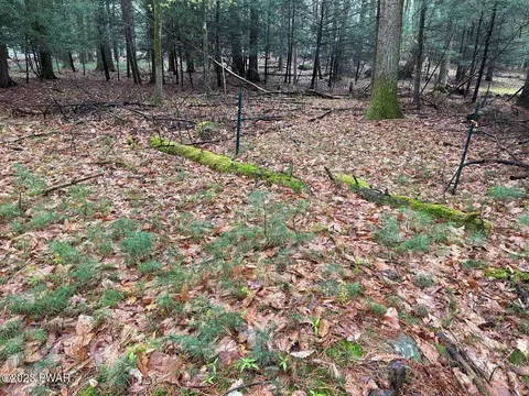 lot211 Cottage Rd, Tafton, PA 18464