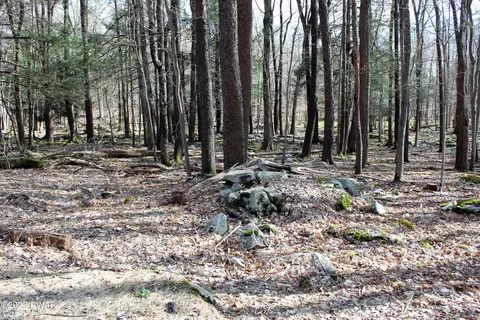 lot28 Stillwater Dr, Newfoundland, PA 18445