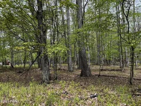 lot539 Paper Birch N, Tafton, PA 18464
