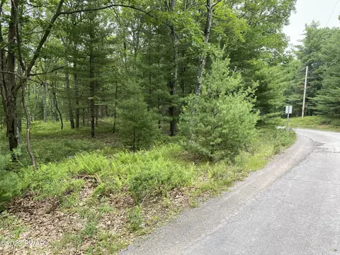 Jack Pine Drive, Dingmans Ferry, PA 18328 photo 18