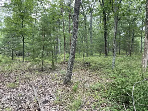 Jack Pine Drive, Dingmans Ferry, PA 18328 photo 6