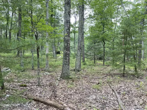 Jack Pine Drive, Dingmans Ferry, PA 18328 photo 7