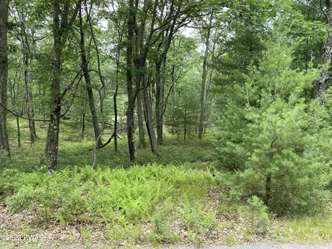 Jack Pine Drive, Dingmans Ferry, PA 18328 photo 20