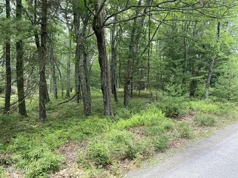 Jack Pine Drive, Dingmans Ferry, PA 18328 photo 17