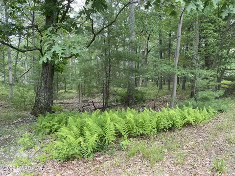 Jack Pine Drive, Dingmans Ferry, PA 18328 photo 2
