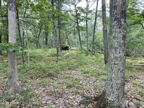 Jack Pine Drive, Dingmans Ferry, PA 18328 photo 8