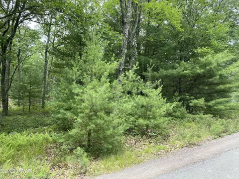 Jack Pine Drive, Dingmans Ferry, PA 18328 photo 19
