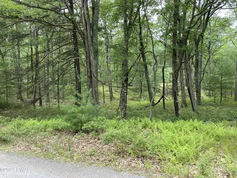 Jack Pine Drive, Dingmans Ferry, PA 18328 photo 21