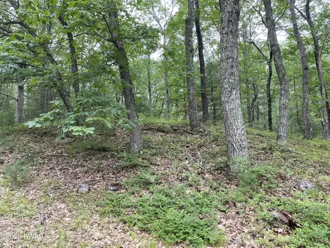 Jack Pine Drive, Dingmans Ferry, PA 18328 photo 22
