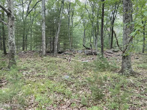 Jack Pine Drive, Dingmans Ferry, PA 18328 photo 24