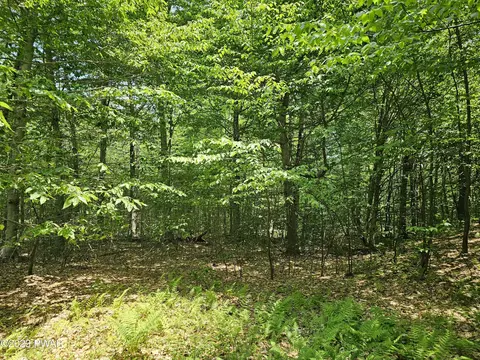lot69 Stonegate Rd, Equinunk, PA 18417