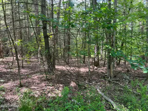 110 Pinewood Rdg, Hawley, PA 18428