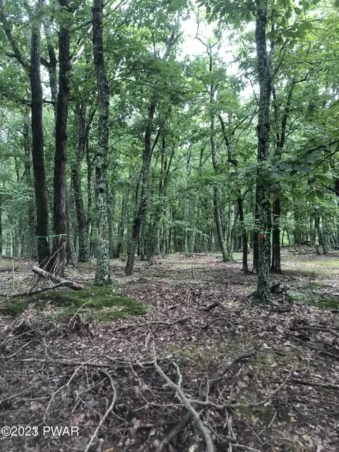 187 Deer Trail Dr, Hawley, PA 18428
