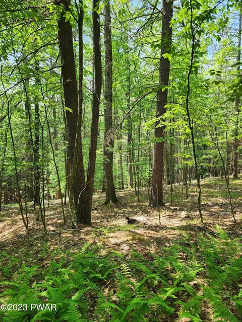 lot S 387 388 Creek Ct, Hawley, PA 18428