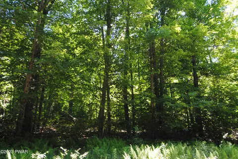 Duck Harbor Road, Equinunk, PA 18417