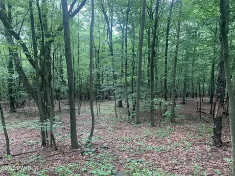 lot28 Murnin Rd, Lake Ariel, PA 18436