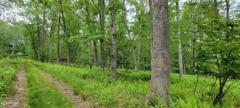 lot192 Lake Country Ln, Narrowsburg, NY 12764