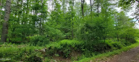 lot159 Lake Country Ln, Narrowsburg, NY 12764