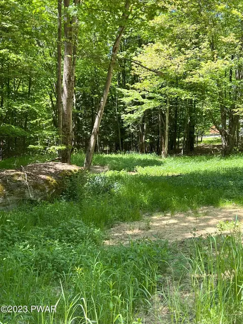 48 Turner Ct, Pleasant Mount, PA 18453