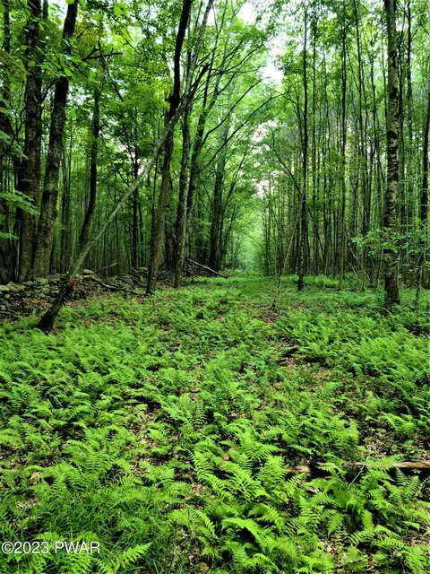 lot1 Upper Woods Rd, Pleasant Mount, PA 18453