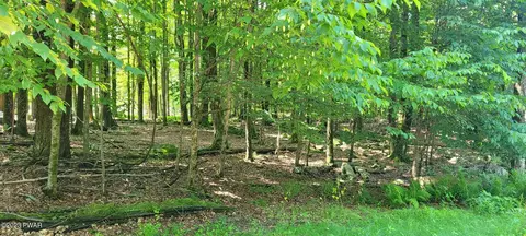 441 Northgate Rd, Lake Ariel, PA 18436