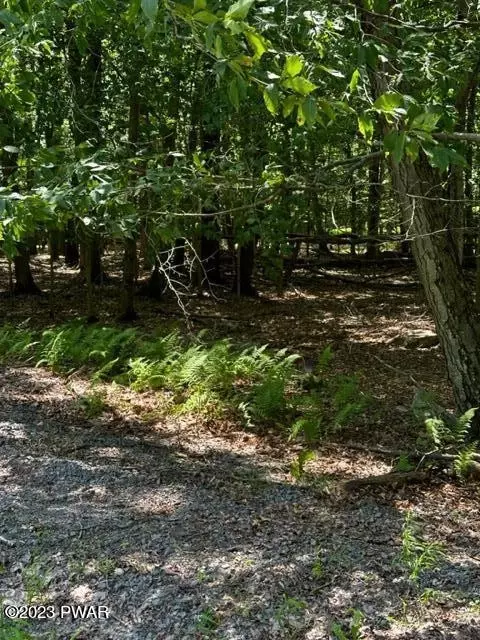 lot1003 Running Deer Dr, Greentown, PA 18426