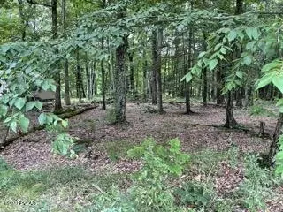 108 Burning Tree Dr, Lords Valley, PA 18428