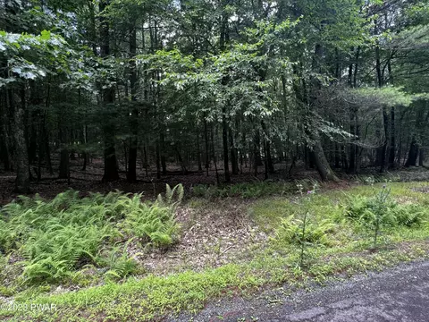 923 Gunstock Ln, Tafton, PA 18464