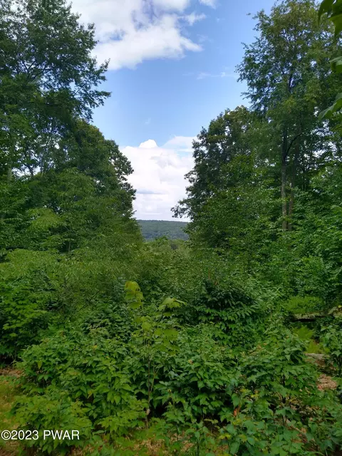 445 Summit Woods Rd, Roaring Brook Township, PA 18444