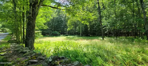 lot50 Westervelt Rd, Cochecton, NY 12726