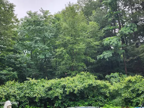 1302 Wallerville Rd, Equinunk, PA 18417