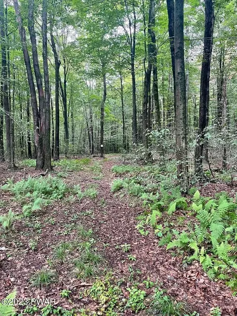 Old Gravity Road, Lake Ariel, PA 18436