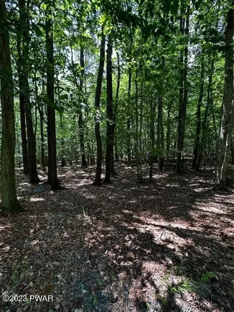 lot2921 Jean Danielson Dr, Greentown, PA