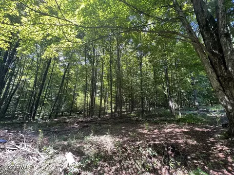 6 7 Secluded Lake Rd, Newfoundland, PA 18445
