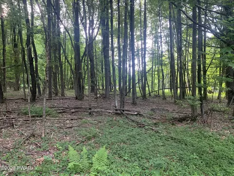 Rosengrant Road, Jefferson Township, PA 18436
