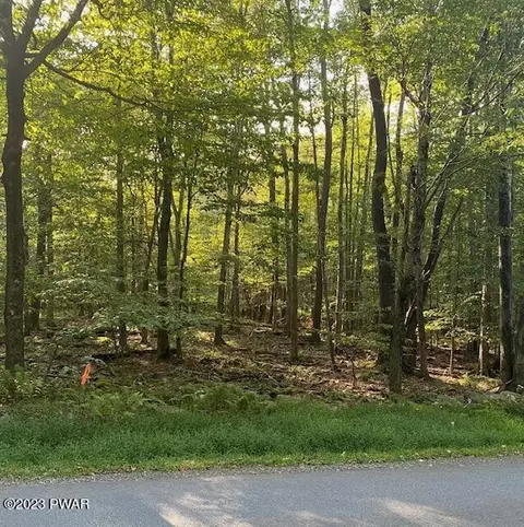 103 Fountain Dr, Newfoundland, PA 18445