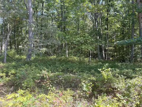 111 Hickory Dr, Lords Valley, PA 18428